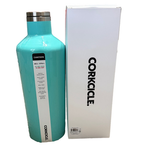 Corkcicle Aqua Canteen